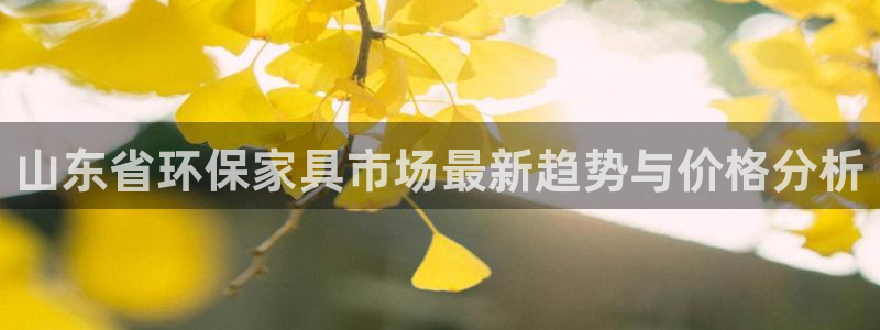 杏宇怎么注册：山东省环保家具市场最新趋势与价格分析