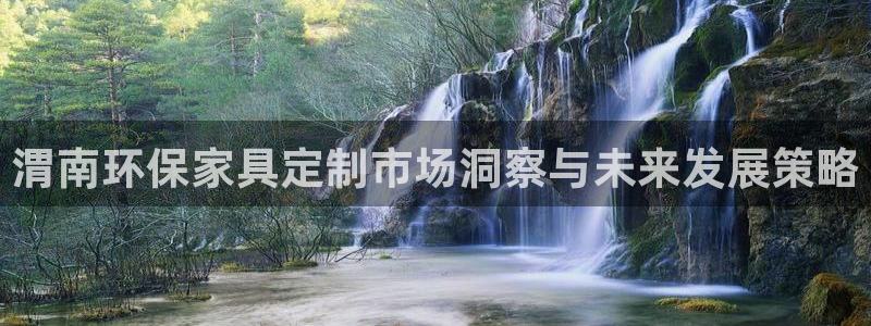 杏宇如何注册：渭南环保家具定制市场洞察与未来发展策略