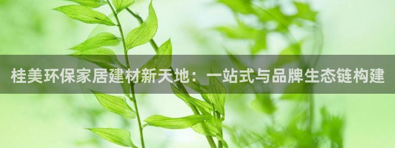 杏宇官方娱乐：桂美环保家居建材新天地：一站式与品牌生态链构建