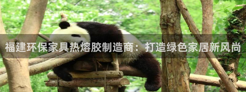 杏宇手机网页登录入口：福建环保家具热熔胶制造商：打造绿色家居