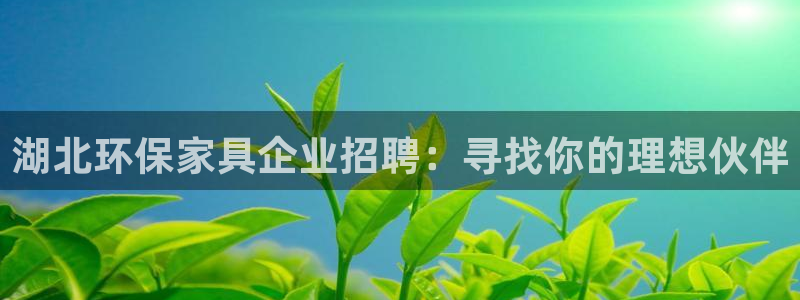 杏宇注册网址：湖北环保家具企业招聘：寻找你的理想伙伴