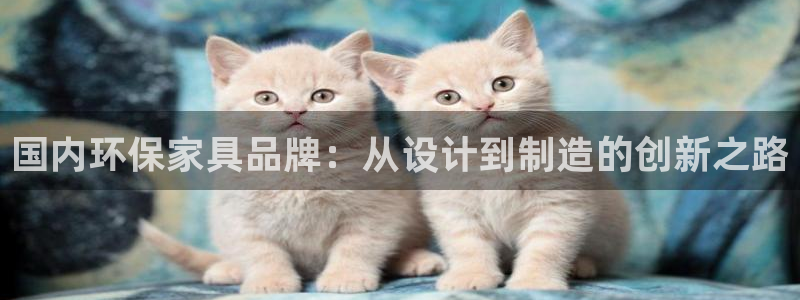 杏宇登陆：国内环保家具品牌：从设计到制造的创新之路