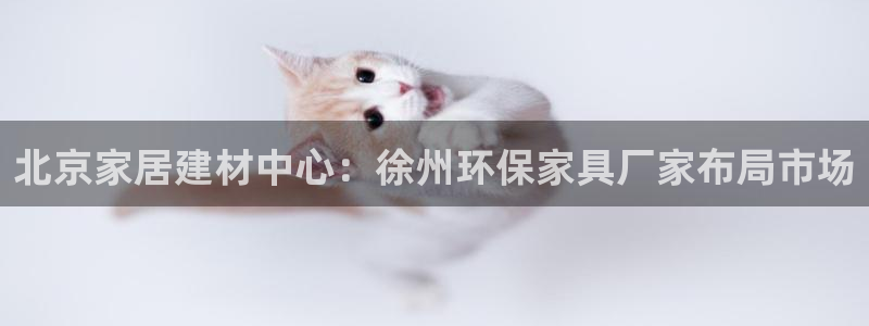 杏宇主管qq