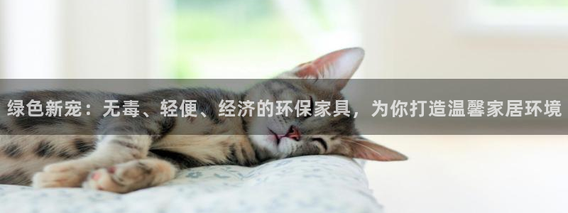 杏宇登陆：绿色新宠：无毒、轻便、经济的环保家具，为你打造温馨