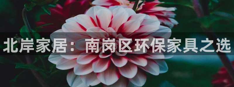 杏宇平台怎么样