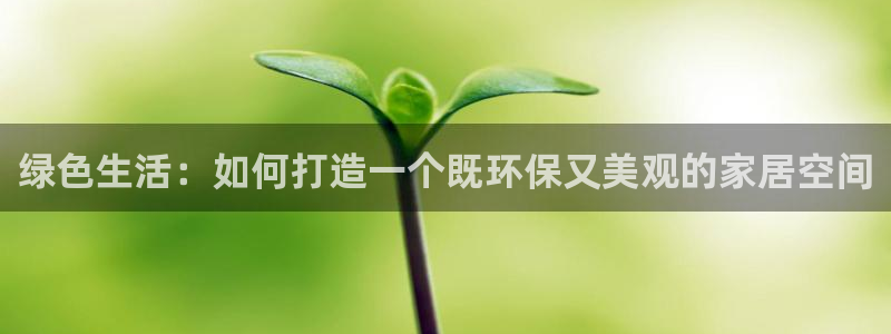 杏宇官网登陆