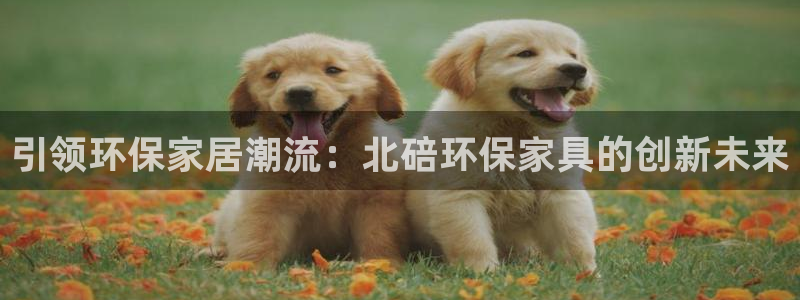 杏宇平台手机登录：引领环保家居潮流：北碚环保家具的创新未来