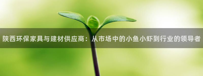杏宇代理日工资多少：陕西环保家具与建材供应商：从市场中的小鱼