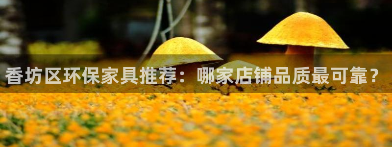 杏宇官网注册：香坊区环保家具推荐：哪家店铺品质最可靠？