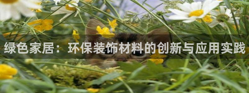 杏宇平台开户：绿色家居：环保装饰材料的创新与应用实践