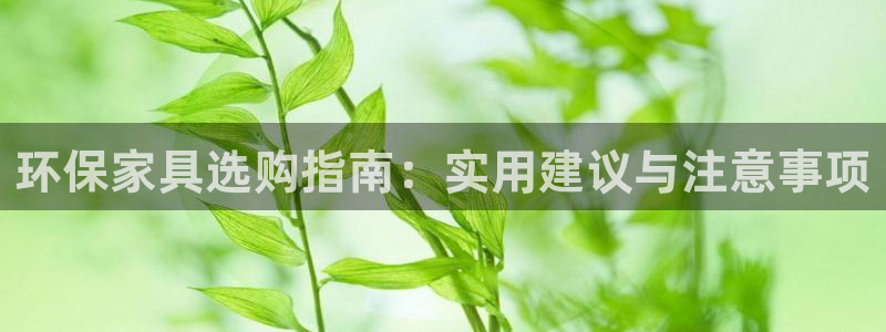 杏宇登录网页：环保家具选购指南：实用建议与注意事项