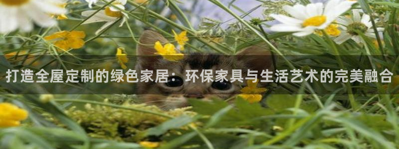 杏宇官网注册地址：打造全屋定制的绿色家居：环保家具与生活艺术