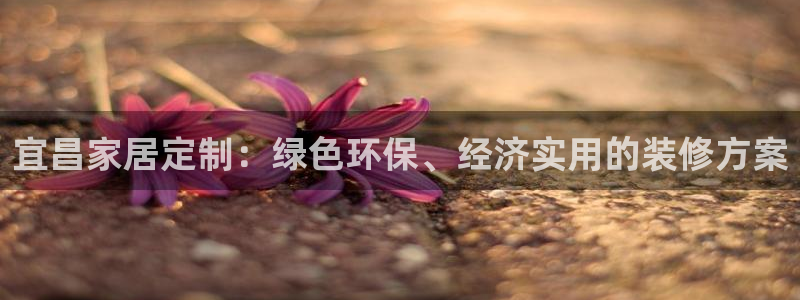 杏宇客户端登陆