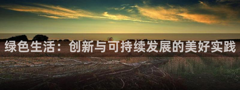 杏宇平台是真的吗