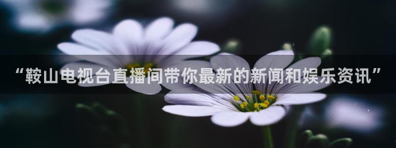 零点直播吧看球吧：“鞍山电视台直播间带你最新的新闻和娱乐资讯”