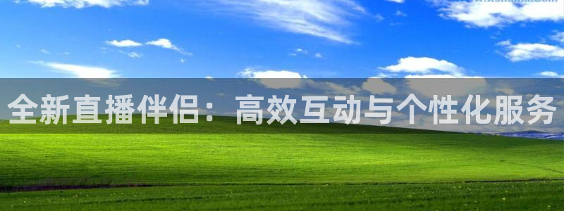 nba免费直播看球吧：全新直播伴侣：高效互动与个性化服务