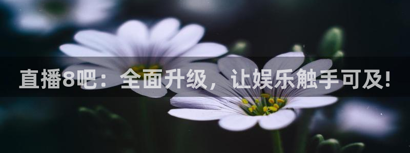 看球吧直播nba：直播8吧：全面升级，让娱乐触手可及!