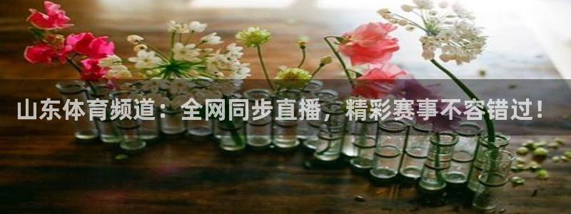 310看球吧直播nba：山东体育频道：全网同步直播，精彩赛事不容错过！