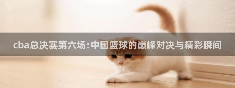 看球吧直播官网：cba总决赛第六场:中国篮球的巅峰对决与精彩瞬间