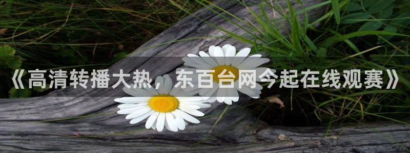 看球吧直播下载：《高清转播大热，东百台网今起在线观赛》