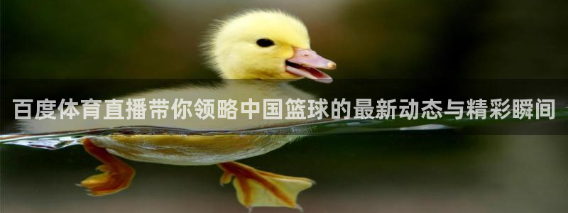 看球吧直播：百度体育直播带你领略中国篮球的最新动态与精彩瞬间