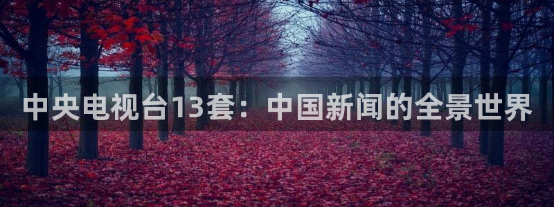 鲨鱼直播nba在线看球吧：中央电视台13套：中国新闻的全景世界