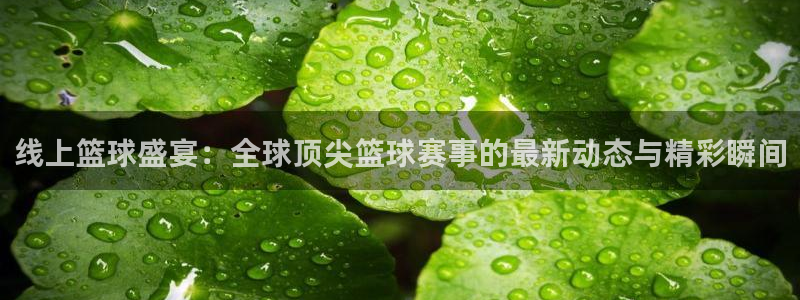 jrs直播看球吧：线上篮球盛宴：全球顶尖篮球赛事的最新动态与精彩瞬间