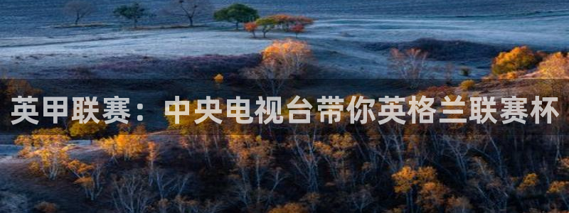 看球吧直播 在线观看：英甲联赛：中央电视台带你英格兰联赛杯