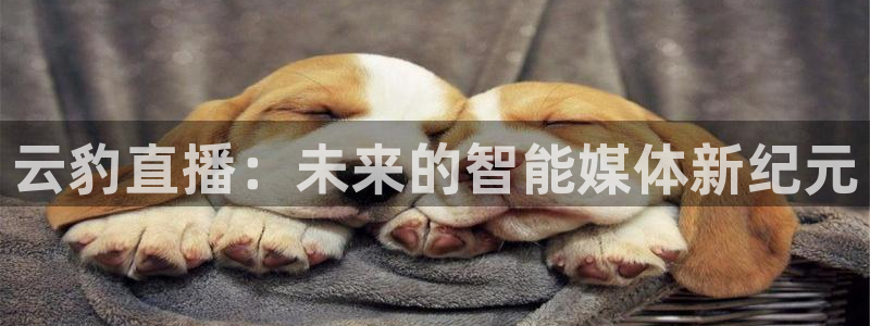 886直播看球吧：云豹直播：未来的智能媒体新纪元